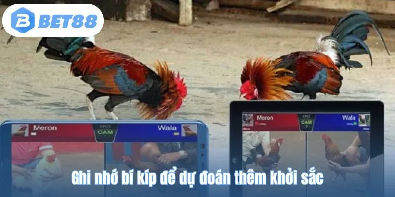 Ghi nhớ bí kíp để dự đoán thêm khởi sắc