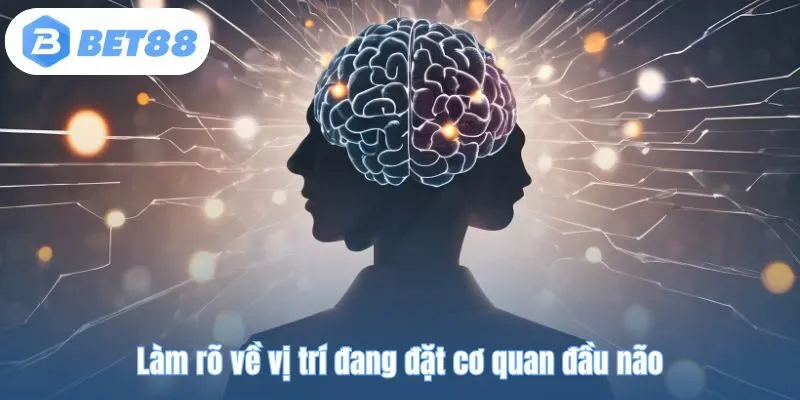 Làm rõ về vị trí đang đặt cơ quan đầu não