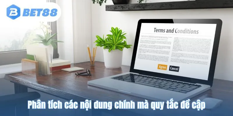 Phân tích các nội dung chính mà quy tắc đề cập